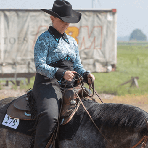 ali johnson Director of Digital, IT & Governance