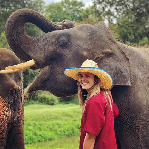 alice boothroyd head of project management experience